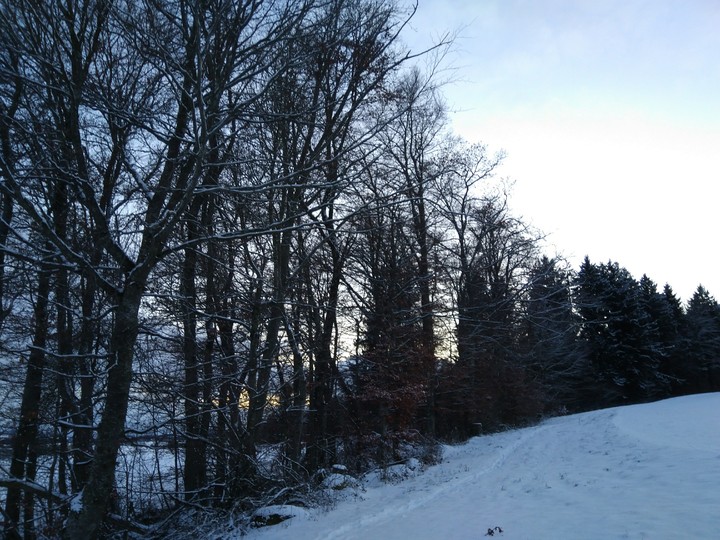 Winter
