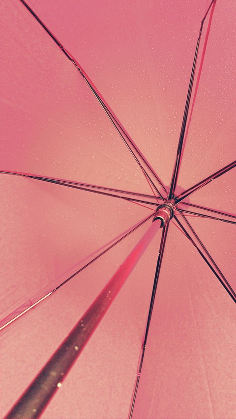Umbrella