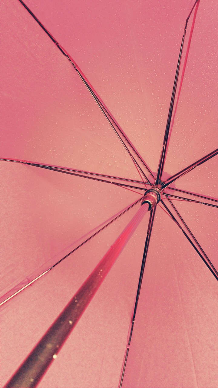 Umbrella