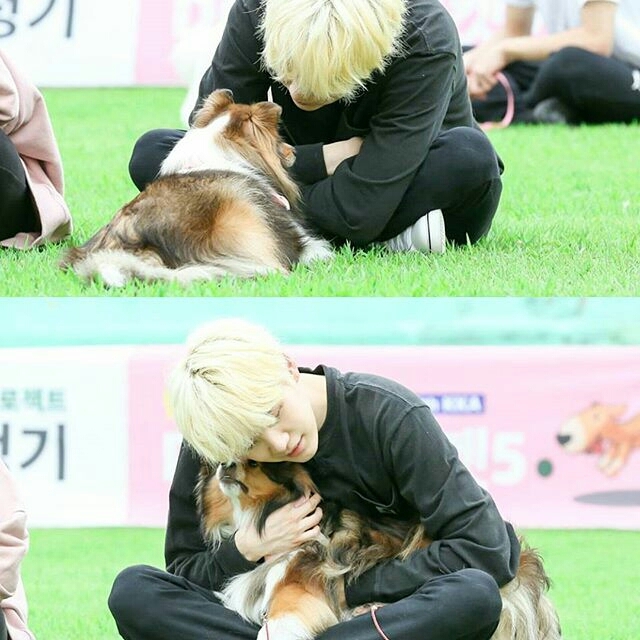 Suga