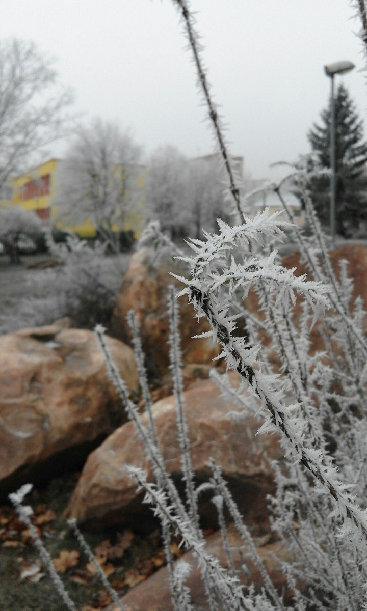 Winter