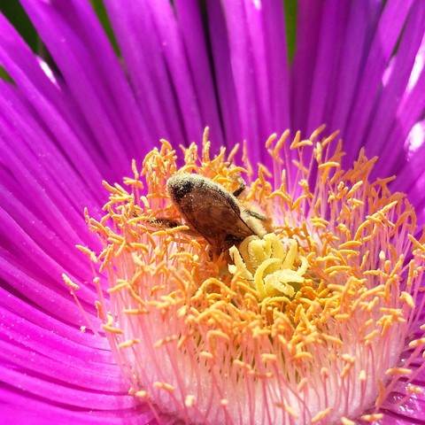 Whorkin Nature