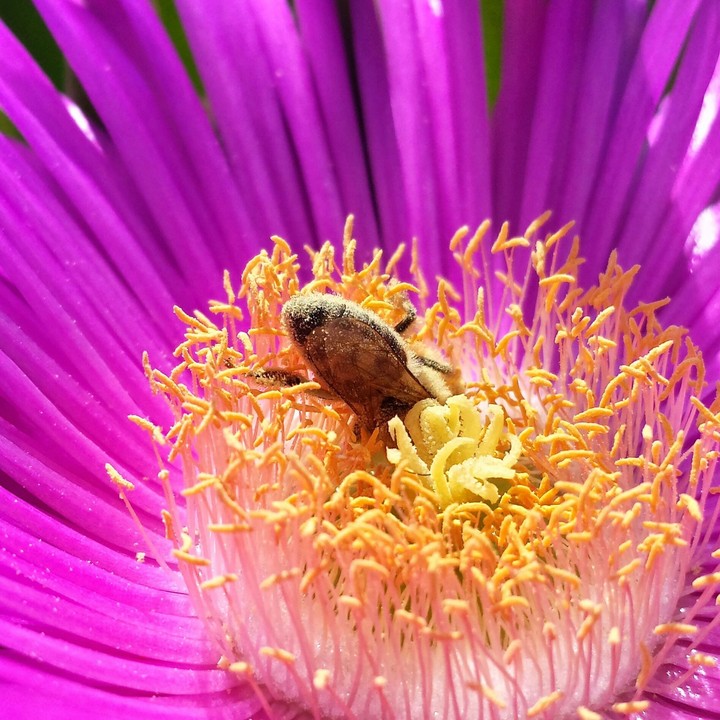 Whorkin Nature