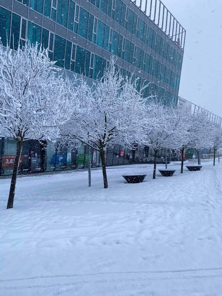 sudden snow 21