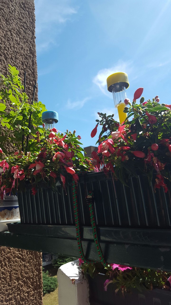hot summer day (30° Celsius) 
