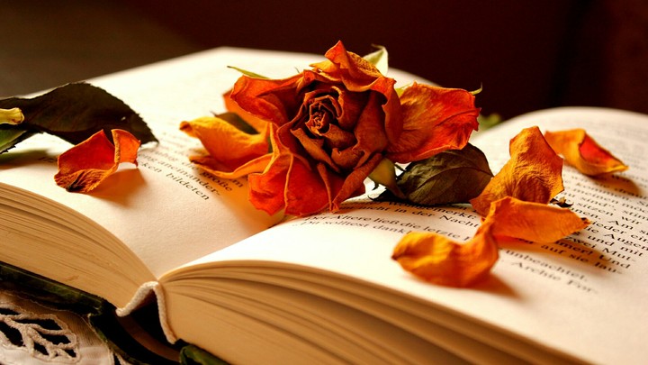 книга