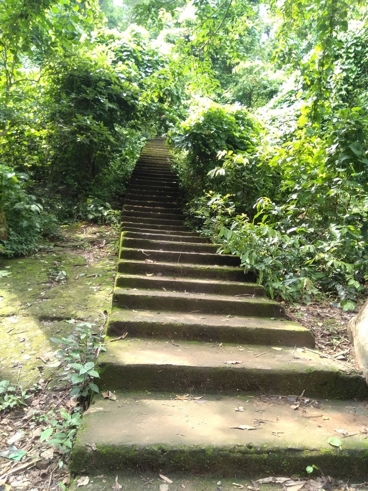 steps leading to the temple over stream