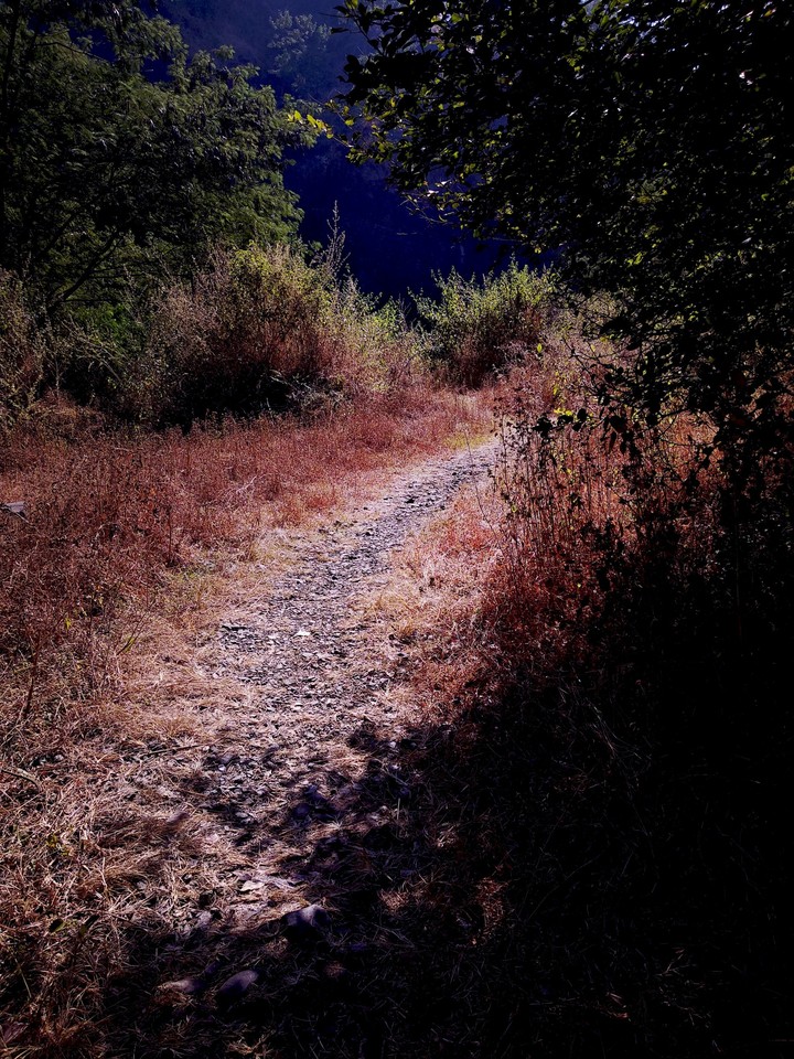 nature