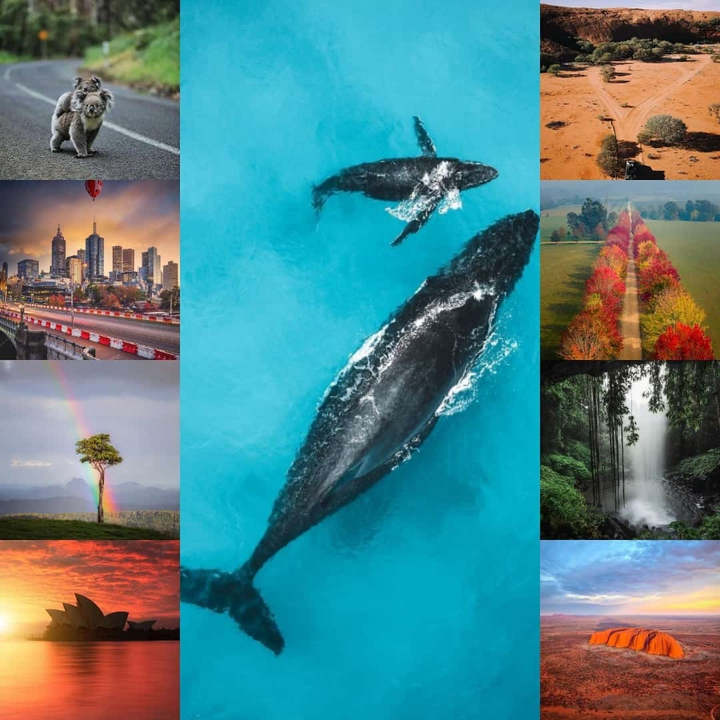 Australia ??