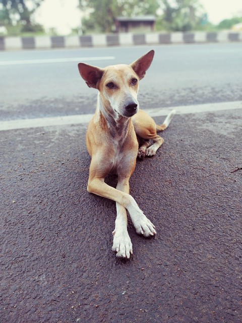 cutipie posing