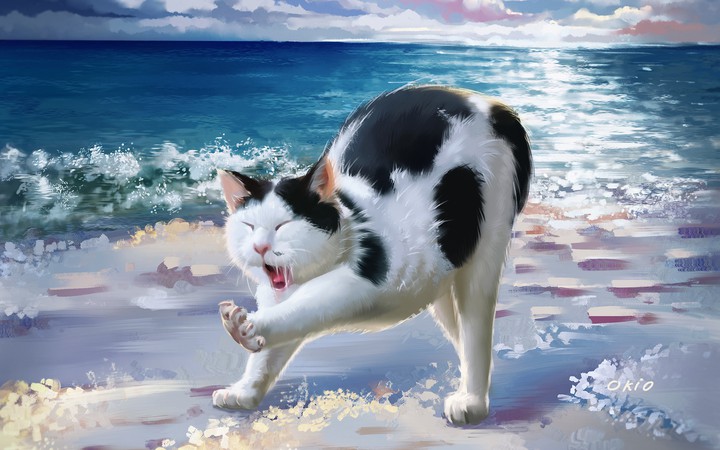 lazy cat