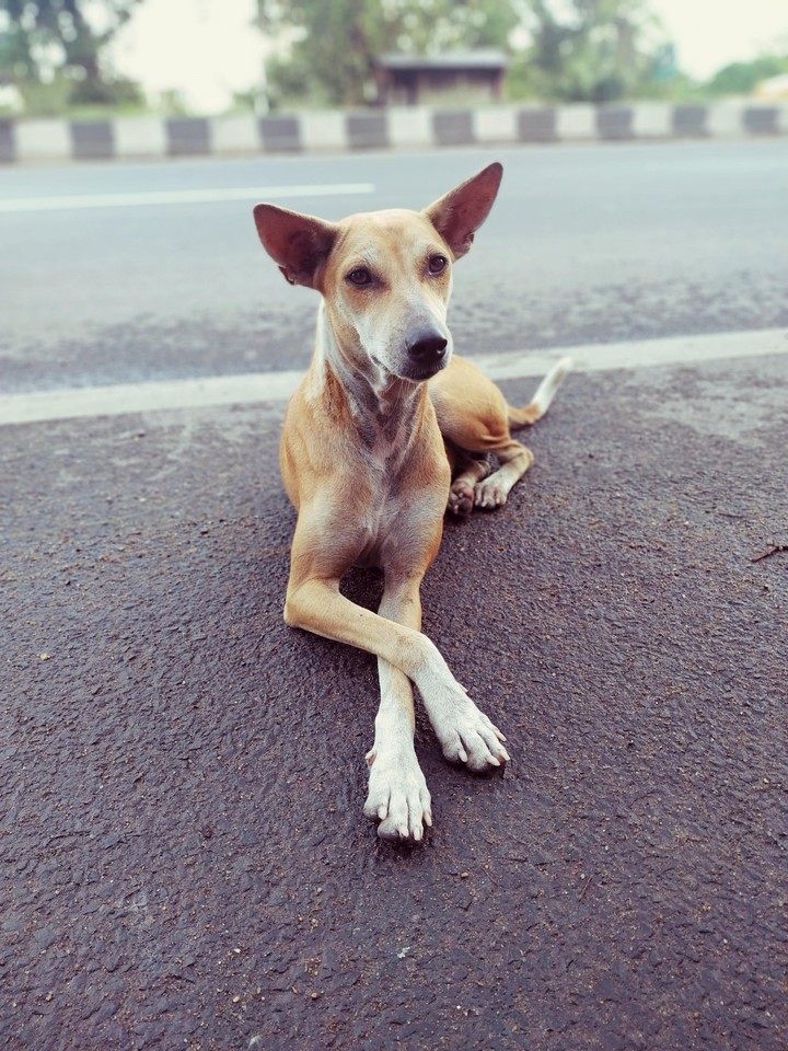 cutipie posing
