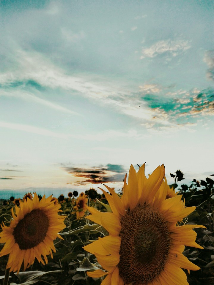 summer