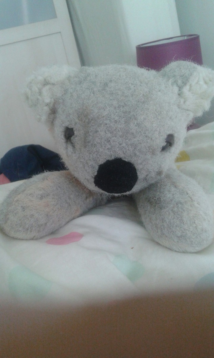 Koala