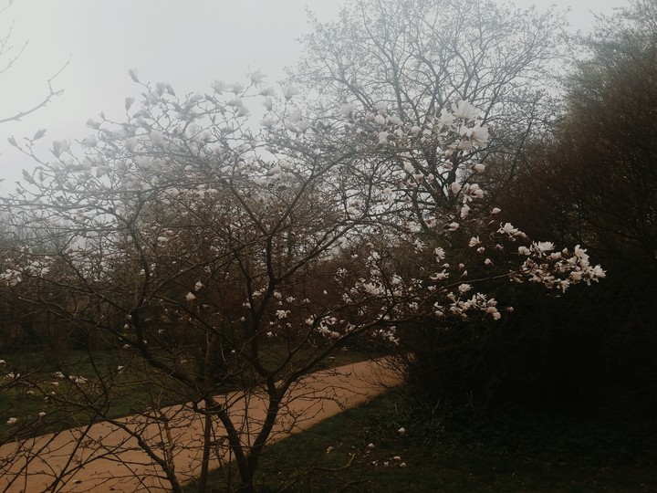 #parkberlin