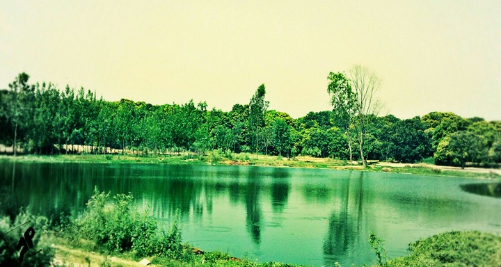 Nature Mirrage Illusion