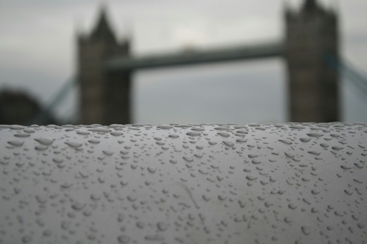 Rain Drops