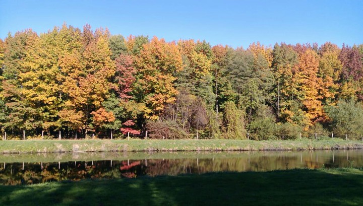 Automn in Germany