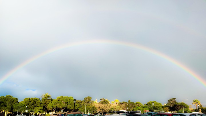 after the rain