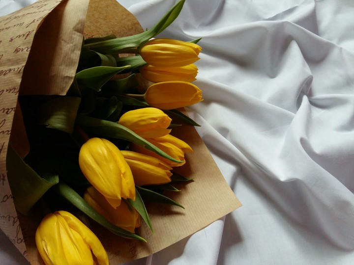 tulips