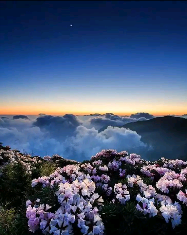 Lovely nature
