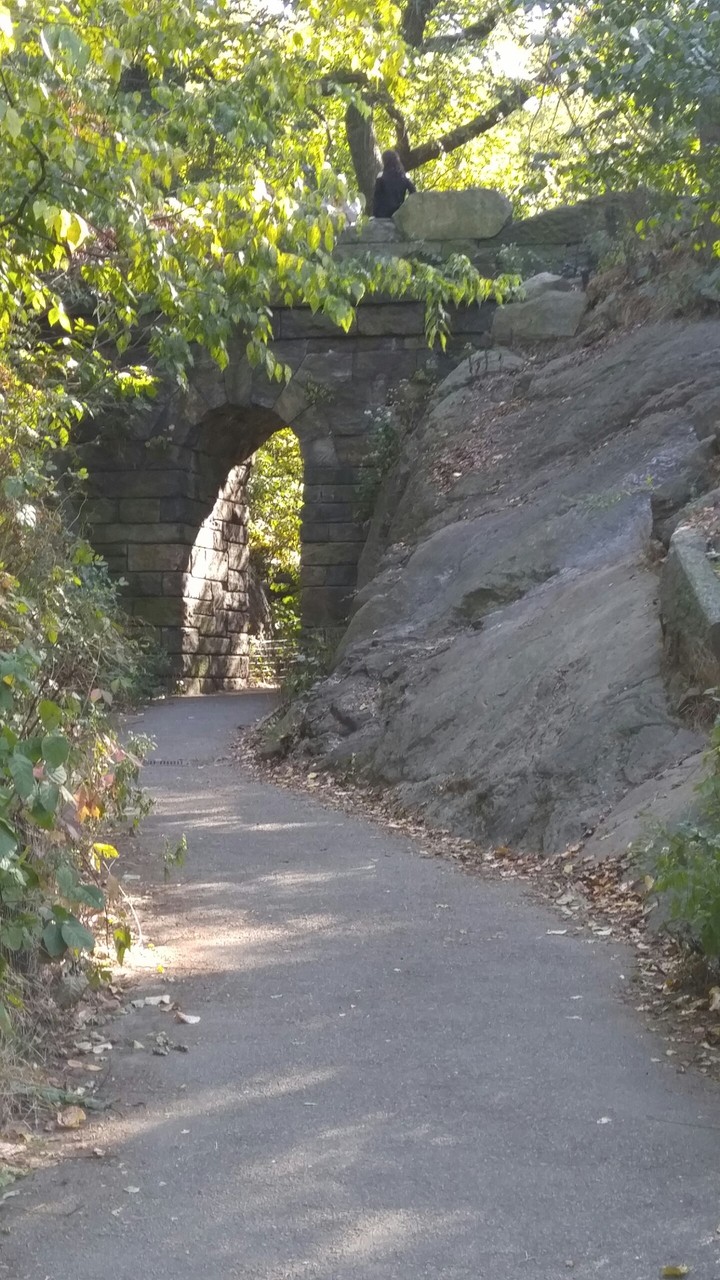 Enter