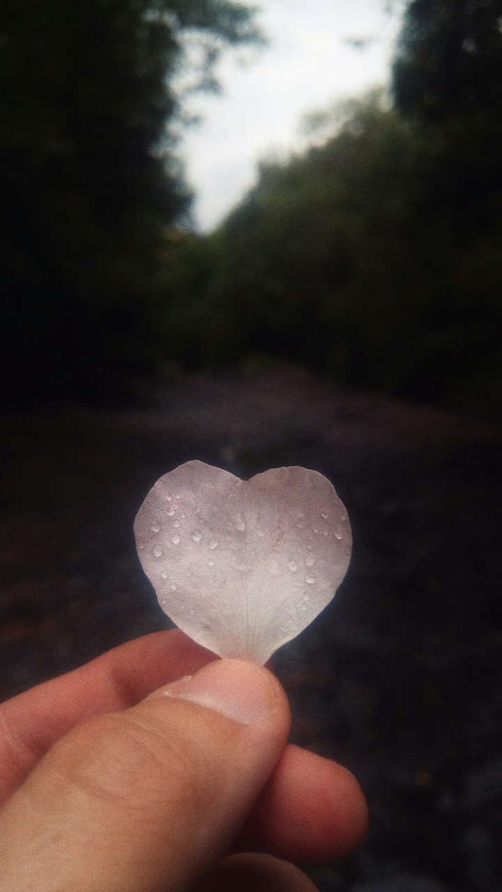 ❤