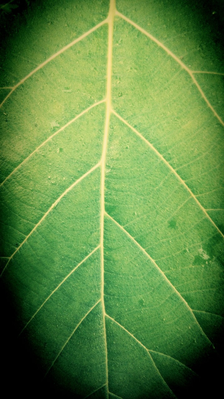 KSN