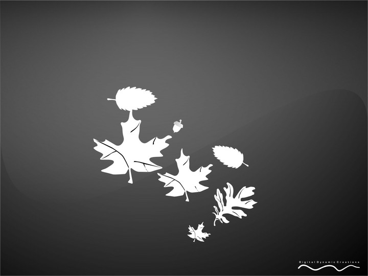 blackandwhite