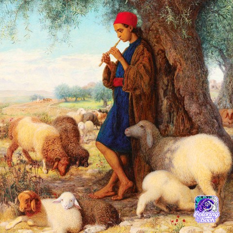 Fawn, sheep háttérképek