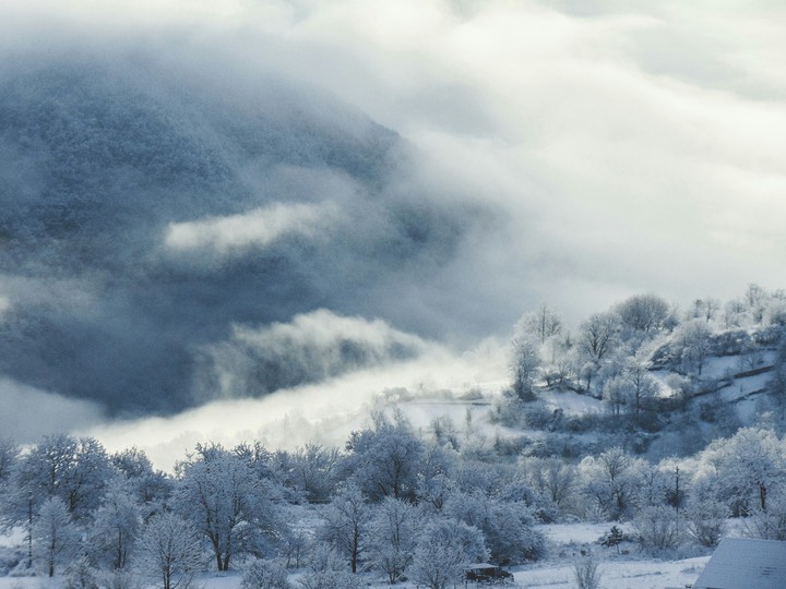 Winter Feelings