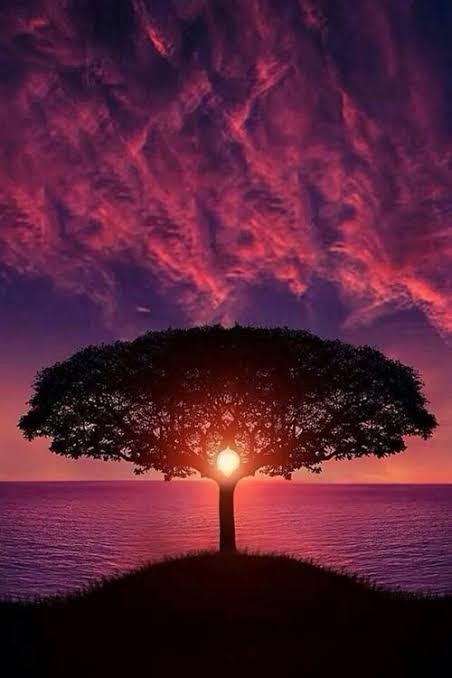 PERFECT CAPTURE