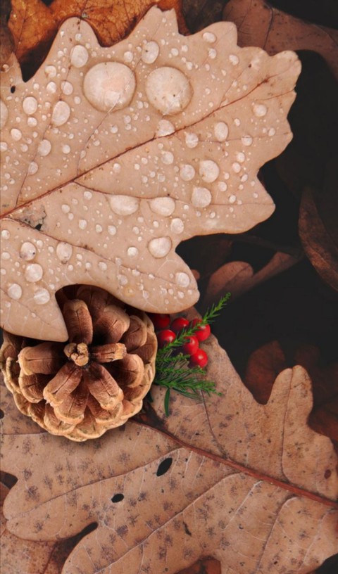 Jour de pluie ?