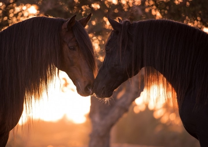 wunderschön♡♡~friends~♡