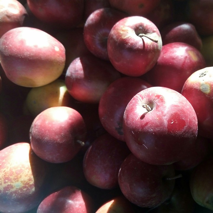 Garden apples