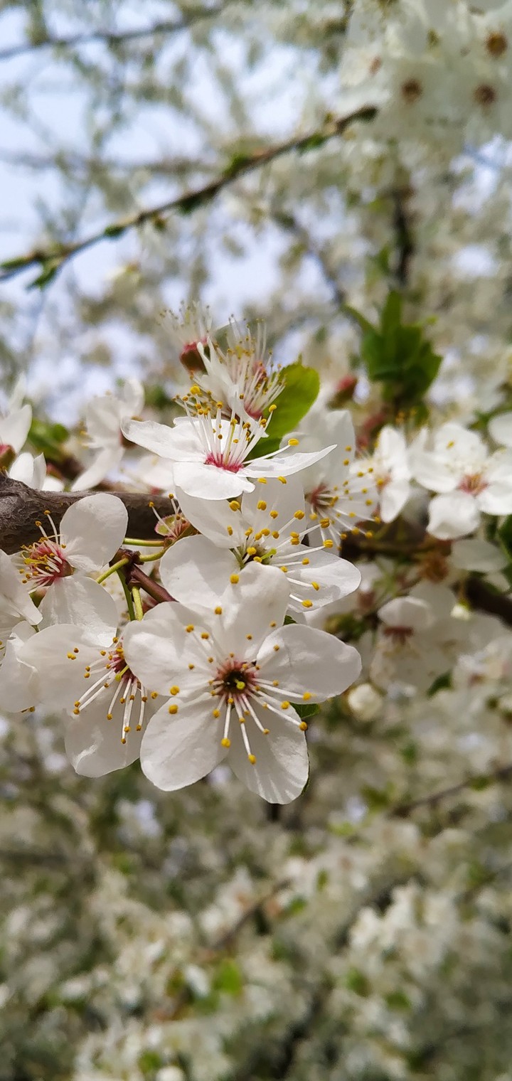 May