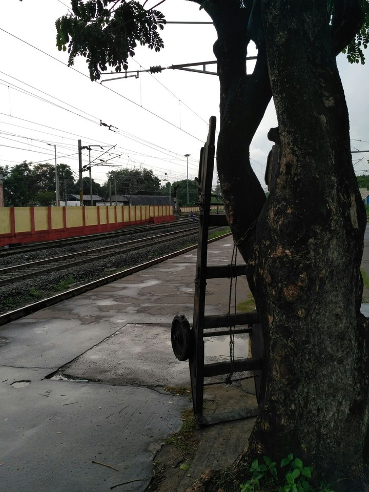 after rain