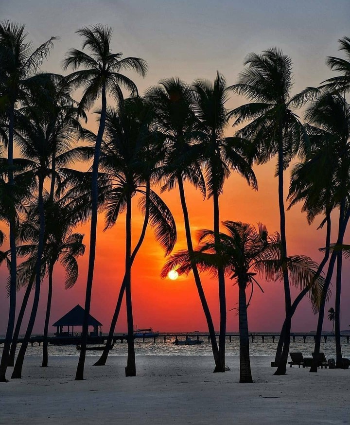 Maldives...
