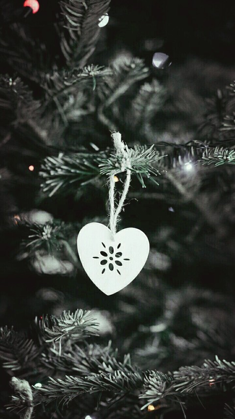 тапети photography, tree