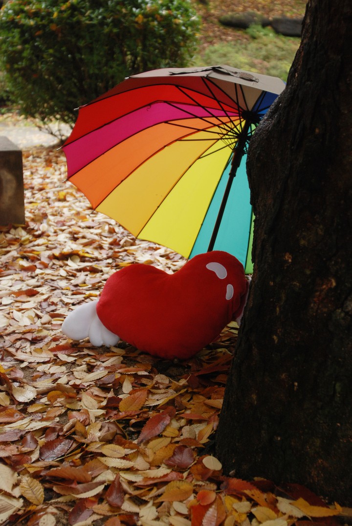우산이미지