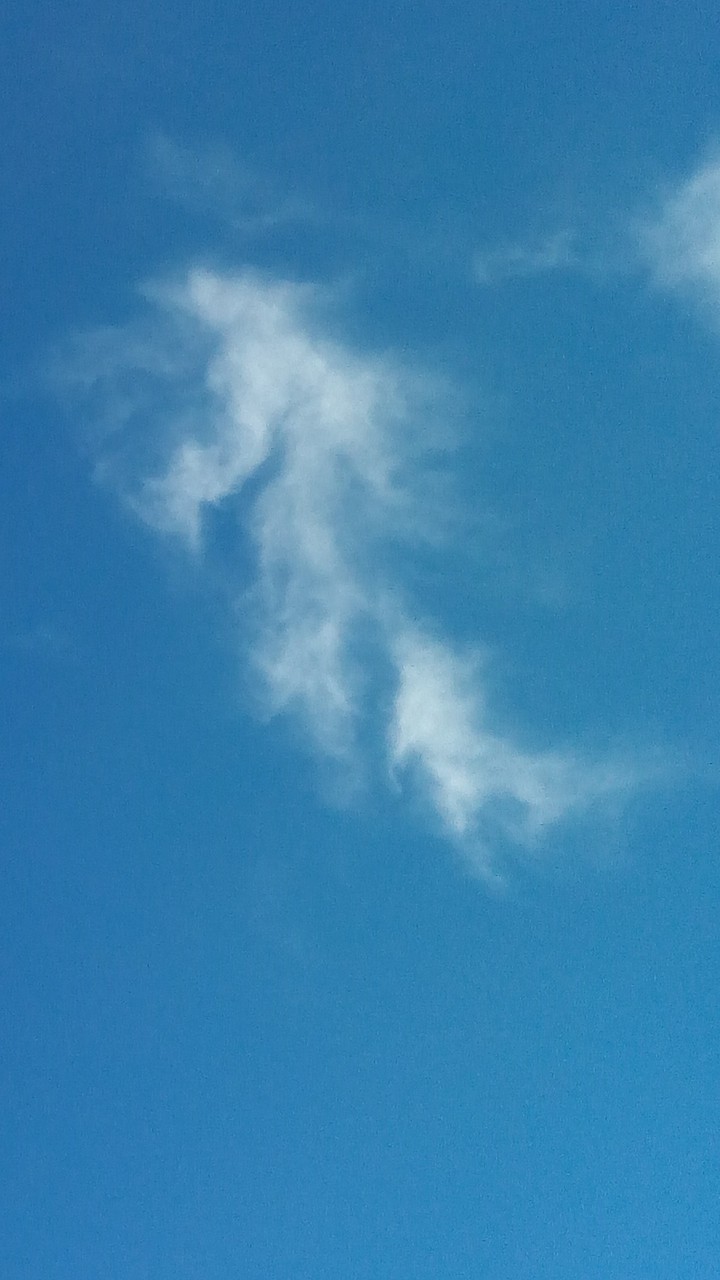 angel