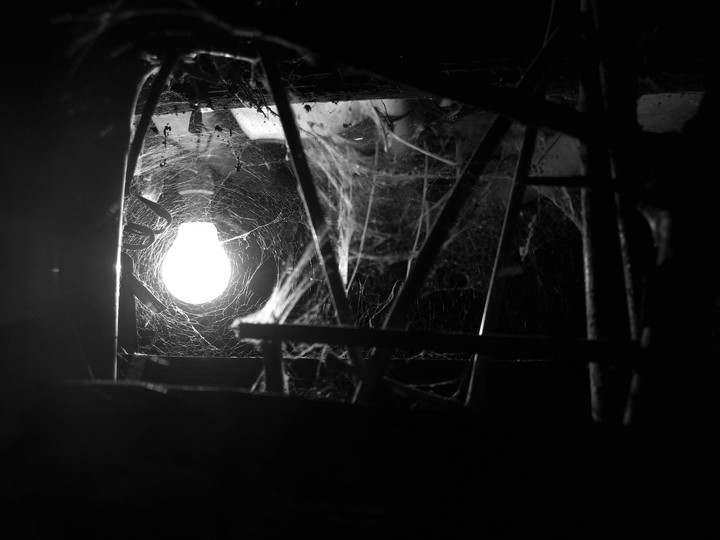 Web of Lights