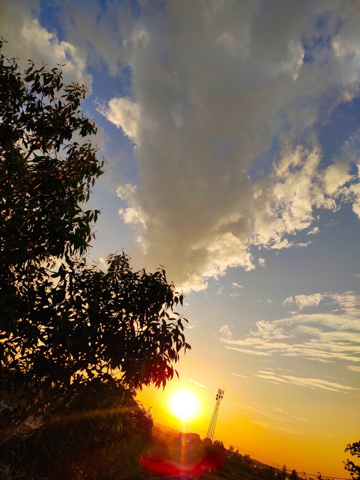 nature