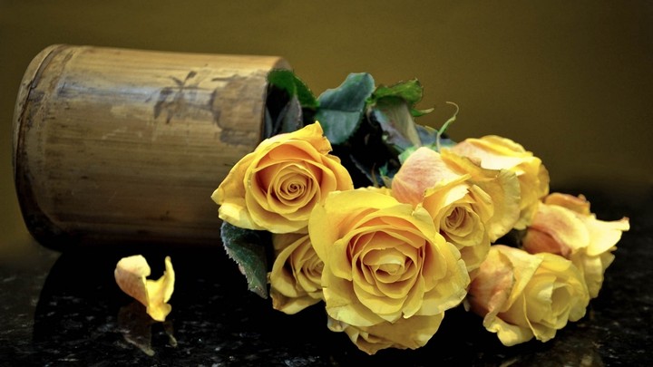 beautiful flower