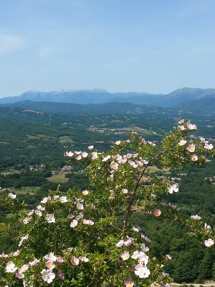Amatrice nel cuore ♥