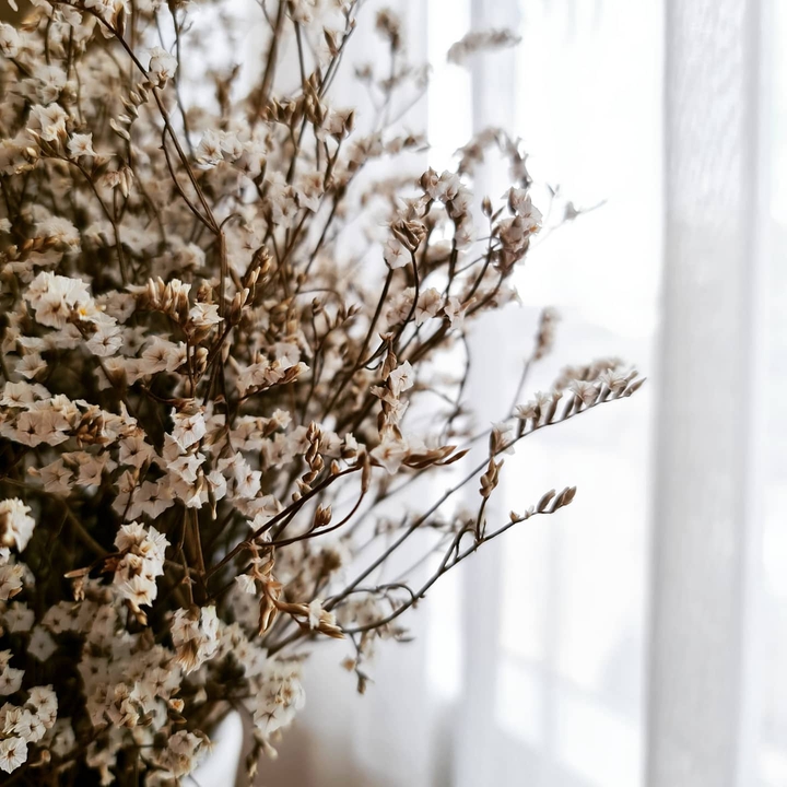 Flower by the window