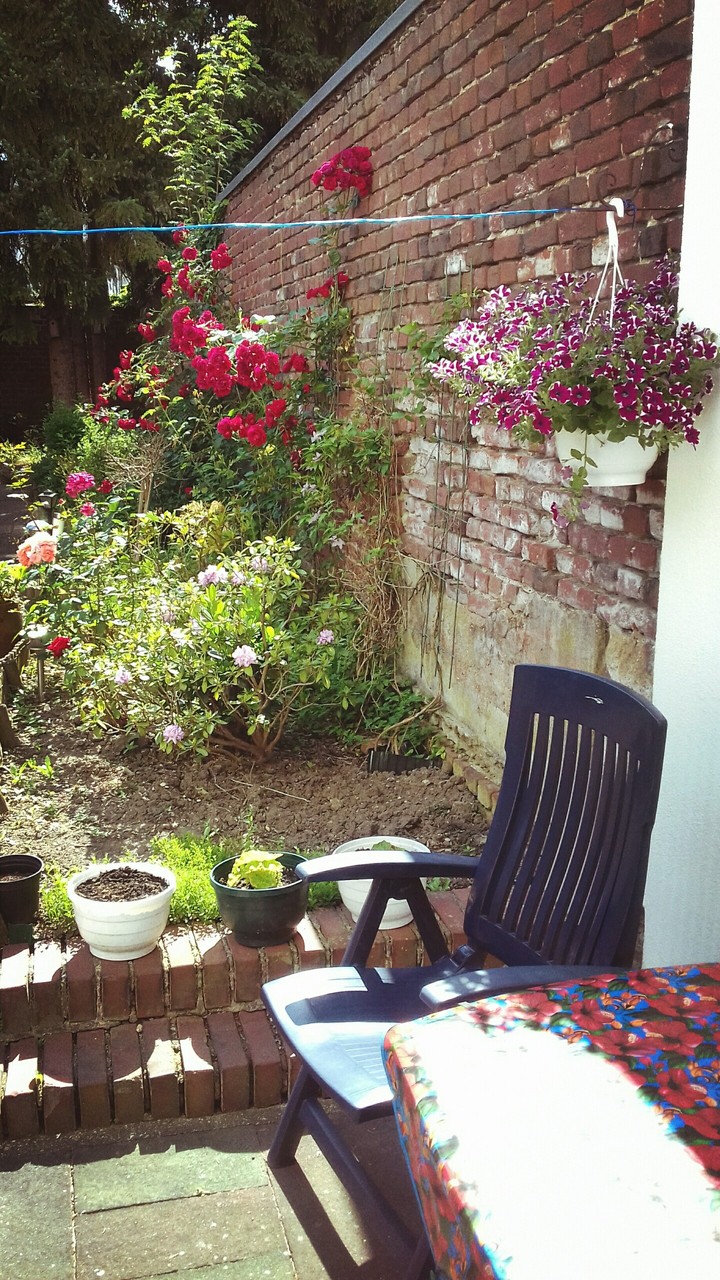 aus meinem Garten