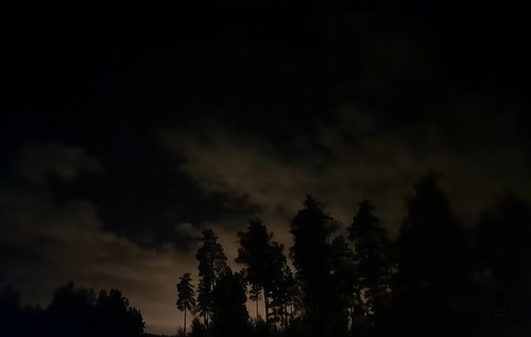 Night