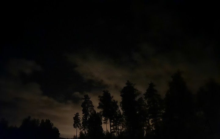 Night