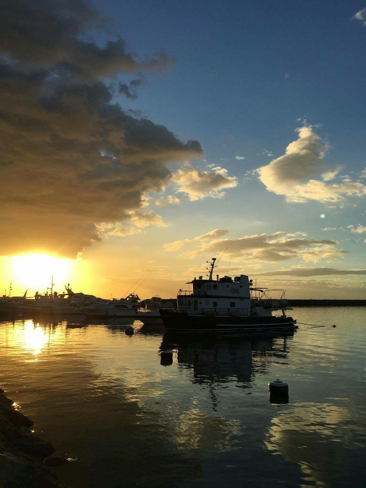 By the Harbor